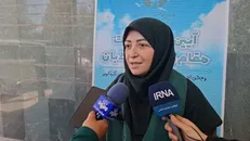 انصاری: اصلاح قانون سلاح برای محیط بانان در کمیسیون قضایی به تصویب رسیده و امیدواریم در صحن نیز تصویب شود + فیلم