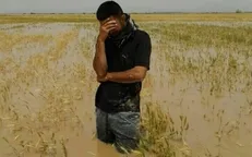 آخرین وضعیت پرداخت غرامت سیل به بخش کشاورزی