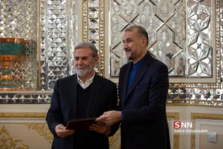 زیادنخاله