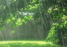 بارش باران در برخی شهرهای کشور