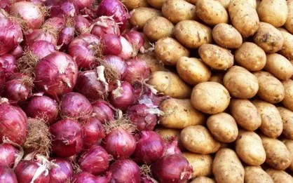 قیمت سیب&zwnj;زمینی و پیاز پس از ماه&zwnj;ها گرانی کاهش یافت/ قیمت منطقی نهایتا کیلویی ۲۰۰۰ تومان