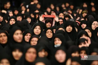 دبب