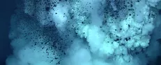 باکتری‌های دریایی مرموز کشف شدند / میکروارگانیسم‌هایی کاملا منحصربه‌فرد در اعماق اقیانوس‌ها