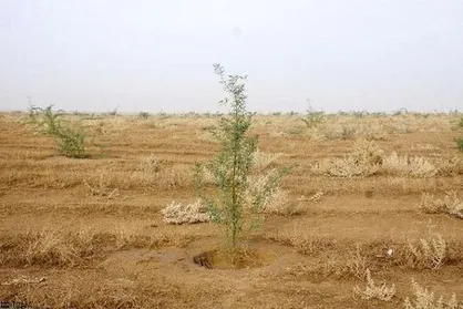 کاهش ۶۵ درصدی اعتبارات بیابان&zwnj;زدایی