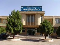 کنگره بین‌المللی پزشکی افضلی‌پور در دانشگاه علوم پزشکی کرمان برگزار می‌شود