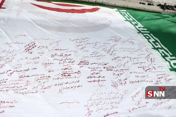 دانشگاه 
