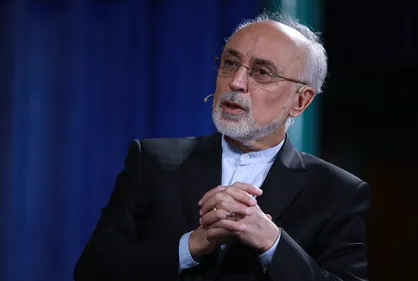 صالحی: درباره مسایل اصلی کشور باید با دانش، نگاه ژرف و تاریخی سخن گفت