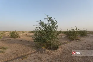 بازدید معاون رئیس جمهور و رئیس سازمان حفاظت محیط زیست از کانون های فوق بحرانی جنوب شرق 