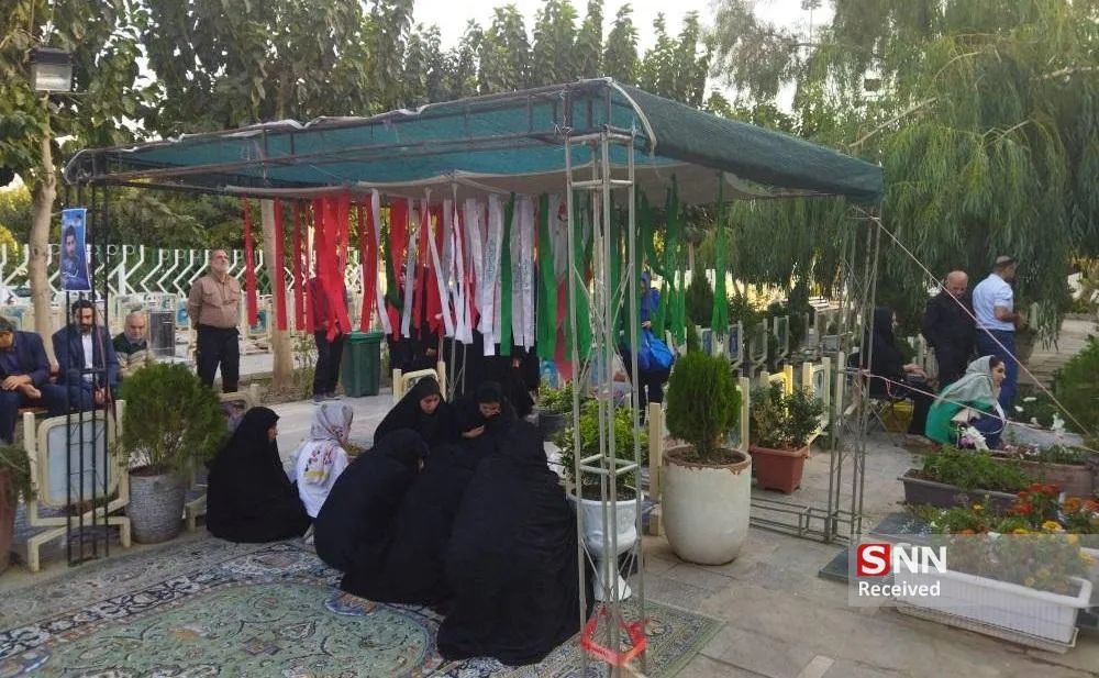 محمدرضا احمدی