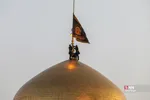 صضثضصثصض