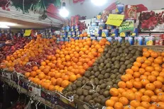 دلیل عمده گرانی میوه مشخص شد