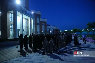 دانشگاه