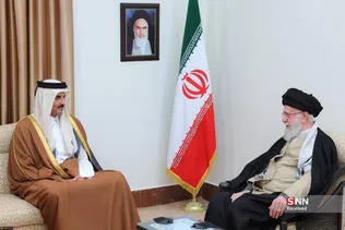 دبب