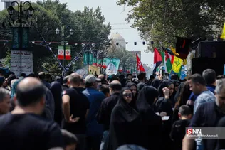 جاماندگان