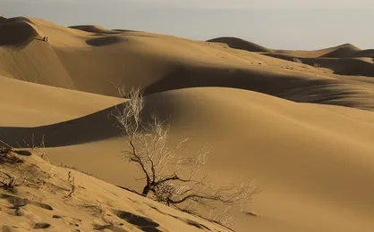 گردشگری کویر در کشور رونق می&zwnj;گیرد / دعوت از کویرگردهای خارجی