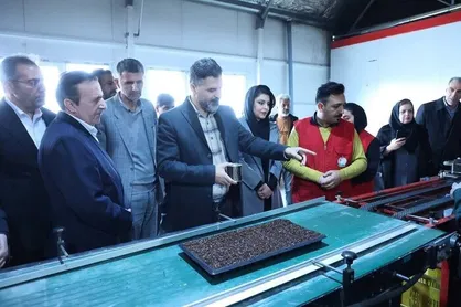 استاندار قزوین: توسعه کشاورزی باید بر پایه دانش&zwnj;بنیان باشد