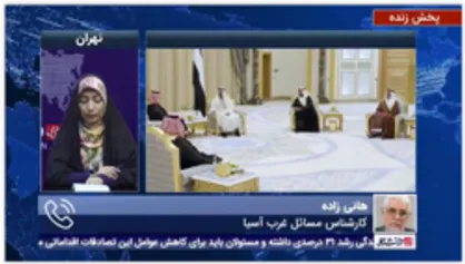 هانی زاده:سفر وزیر خارجه امارات به سوریه و مشاور امنیت ملی این کشور به تهران حکایت از تغییر رویکرد کشورهای منطقه دارد
