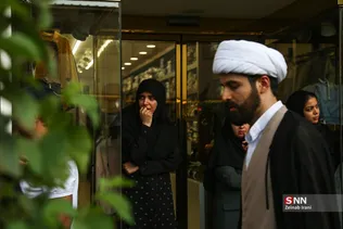 دبب