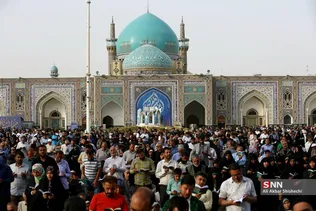 دبب
