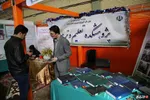 نمایشگاه دستاوردهای پژوهشی در دانشگاه لرستان افتتاح شد +تصاویر