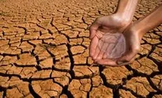 تاج بخش: خشک‌سالی امنیت غذایی را مورد تهدید قرار می‌دهد