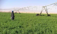 واگذاری دشت مغان باعث درگیری‌های اجتماعی در استان نشود