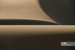 new