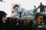 دبب