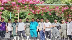 واکسیناسیون ۱۸ هزار دام به همت دامپزشکان جهادگر