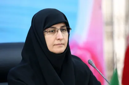 حکیم زاده: &laquo;خانواده ها&raquo; شرکای اصلی جریان تعلیم و تربیت هستند
