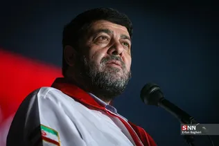 دبب