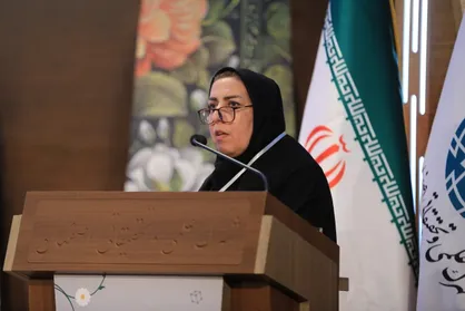 مرکز رشد مانند یک پزشک عمومی مسئله&zwnj;یابی می&zwnj;کند