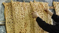 ثبت ۱۷۴ تخلف در واحدهای آرد و نان قزوین