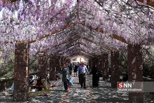 روز طبیعت در پل طبیعت تهران