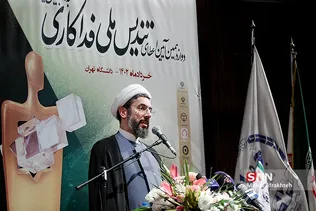 سیفل