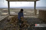 جهادی