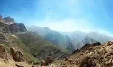 کشف ۲۶۹ مورد تخلف زیست محیطی در کردستان