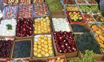 رشد ۱۶ درصدی صادرات محصولات کشاورزی