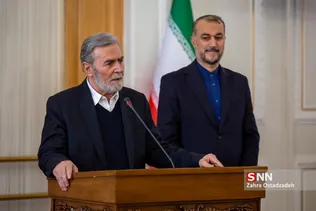 زیادنخاله