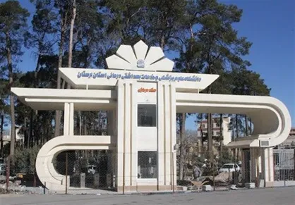کمبود پزشک در پلدختر با گفتاردرمانی حل نمی&zwnj;شود