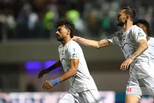 دبب
