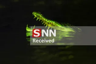 234234