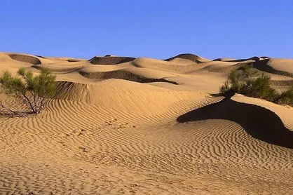 بحران بیابان&zwnj;زایی؛ شناسایی ۲۰۰ هزار هکتار کانون گرد و غبار در قم
