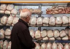 قیمت مرغ تازه در میادین میوه و تره بار؛ همان ۱۱۵۰۰ تومان