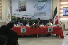 از اشتراکات فرهنگی با افغانستان به خون‌شریکی رسیدیم