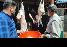 توزیع ۱۵ تُن گوشت قربانی بین نیازمندان ایلامی