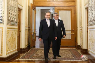 دیدار وزیر کشور پاکستان با وزیر امورخارجه جمهوری اسلامی ایران