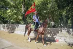 اسب