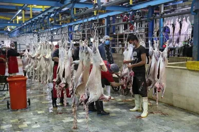 مشکلات کشتارگاه صنعتی سپیدمرغ یاسوج روی میز ستاد قضایی رفع موانع تولید