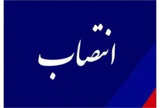 مدیر کل توسعه منابع انسانی وزارت کار منصوب شد
